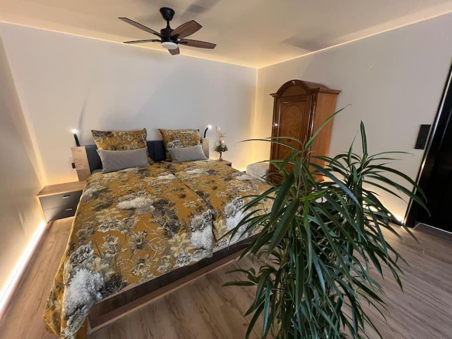 Budahome Im Schwarzwald Apartment